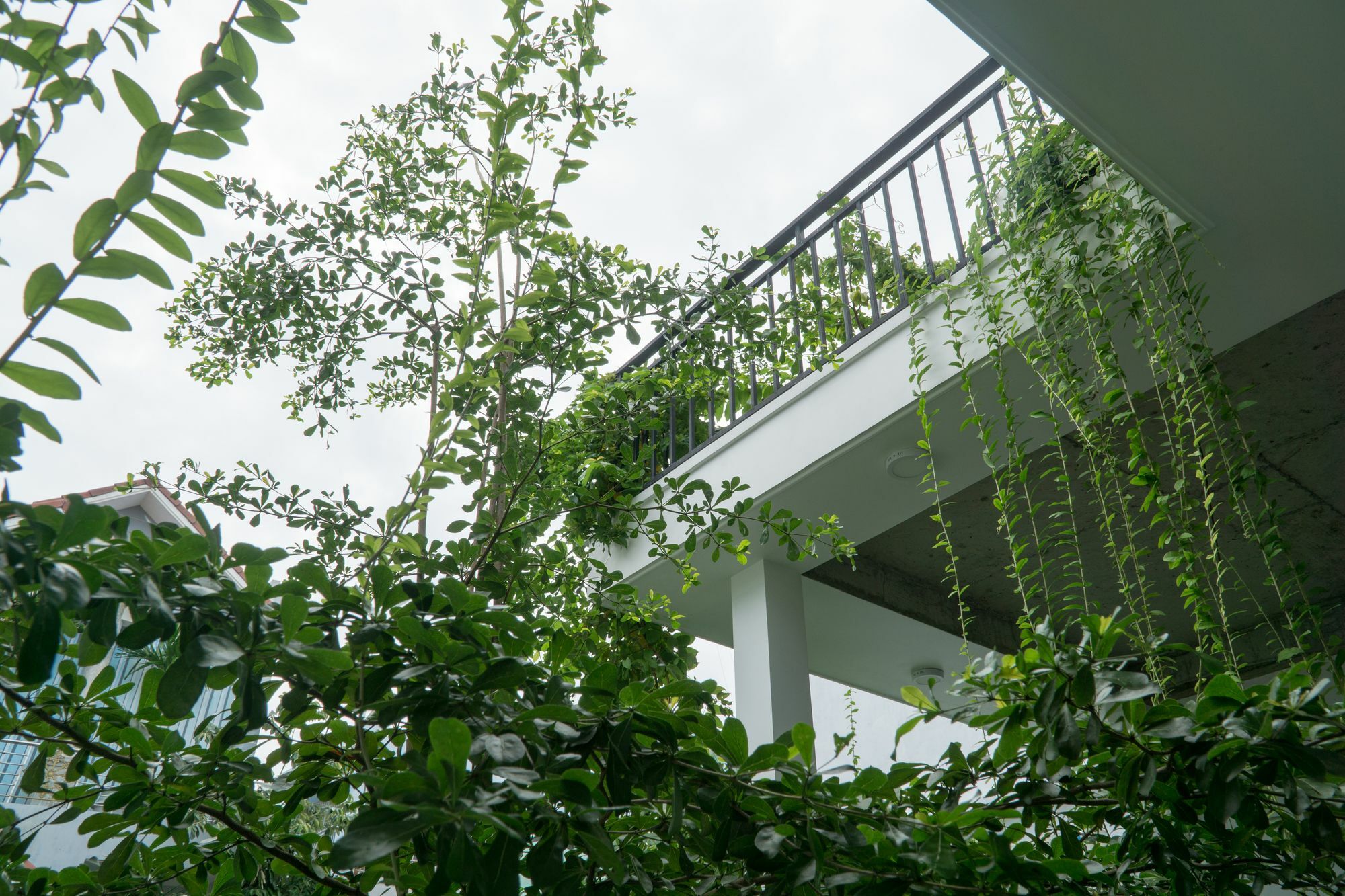 Kiu House - 3Br - Green & Artistic Da Nang Esterno foto